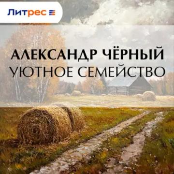 Обложка аудиокниги «Уютное семейство»
