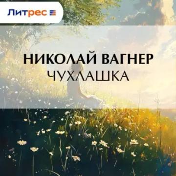 Обложка аудиокниги «Чухлашка»