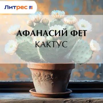 Обложка аудиокниги «Кактус»