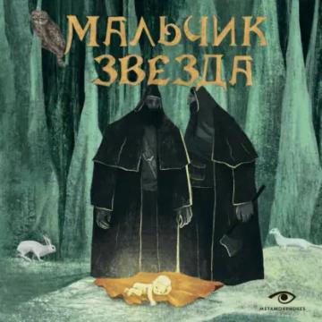 Обложка аудиокниги «Мальчик-Звезда»