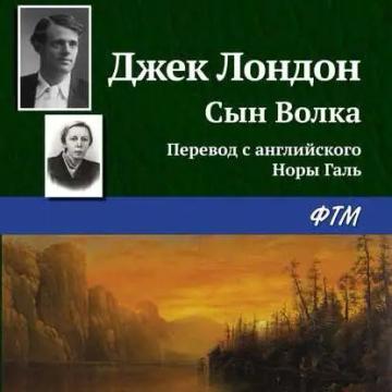 Обложка аудиокниги «Сын Волка»
