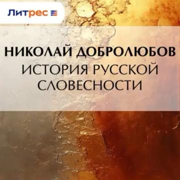 Обложка аудиокниги «История русской словесности»