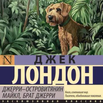 Обложка аудиокниги «Джерри-островитянин. Майкл, брат Джерри»