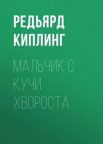 Обложка аудиокниги «Мальчик с кучи хвороста»