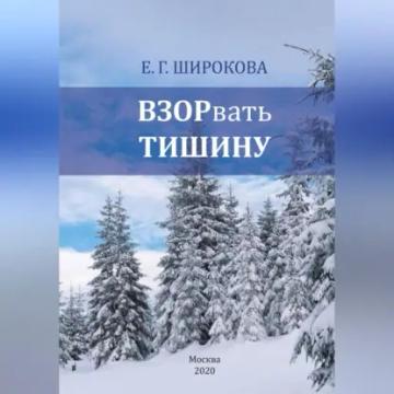 Обложка аудиокниги «ВЗОРвать тишину»