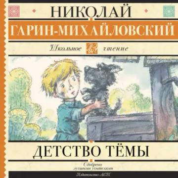Обложка аудиокниги «Детство Тёмы»