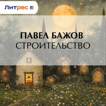 Обложка аудиокниги «Строительство»