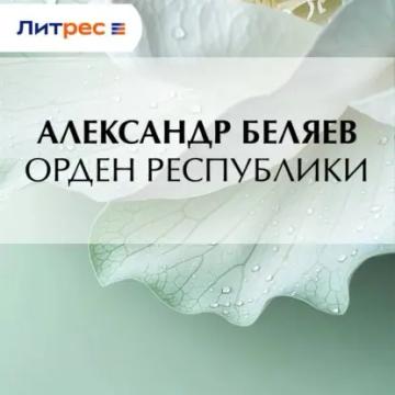 Обложка аудиокниги «Орден республики»