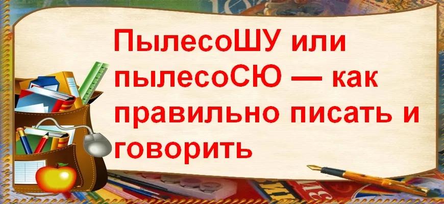 ПылесоШУ или пылесоСЮ — как правильно писать и говорить