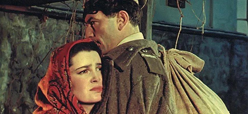 Правда в романе «Тихий Дон» (М.А. Шолохов)