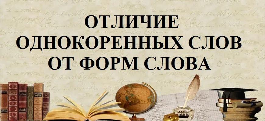 Отличие однокоренных слов от разных форм одного и того же слова