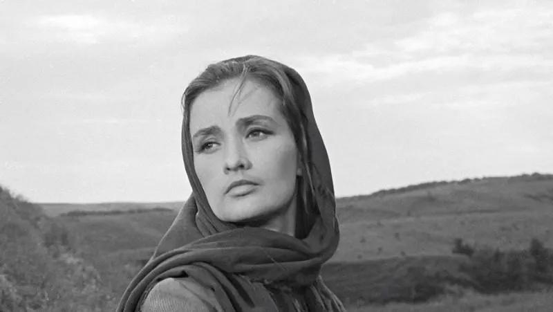 Женские судьбы в романе "Тихий Дон" (М.Шолохов)
