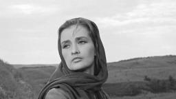 Женские судьбы в романе "Тихий Дон" (М.Шолохов)