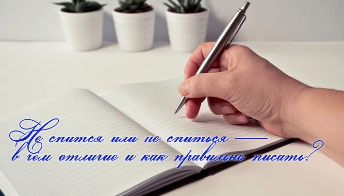 Не спиТся или не спиТЬся — в чем отличие и как правильно писать