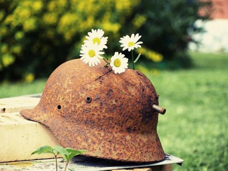 Сочинение: Что такое «эхо войны»?