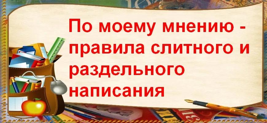По моему мнению - правила слитного и раздельного написания