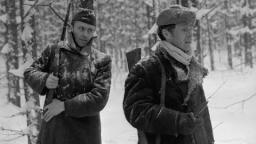 Анализ повести «Сотников» (В. Быков)