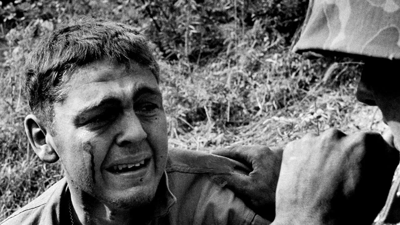 Сочинение: Кто говорит, что на войне не страшно, тот ничего не знает о войне (Ю.В. Друнина)
