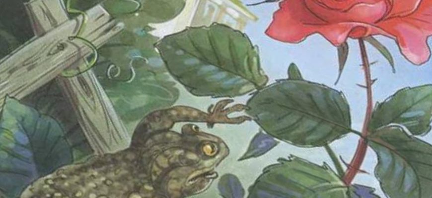 Краткое содержание «Сказки о жабе и розе» (В.М. Гаршин)
