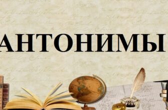 Антонимы русского языка – определение, виды, примеры