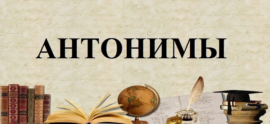Антонимы русского языка – определение, виды, примеры