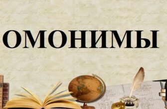 Омонимы русского языка – определение, виды, примеры