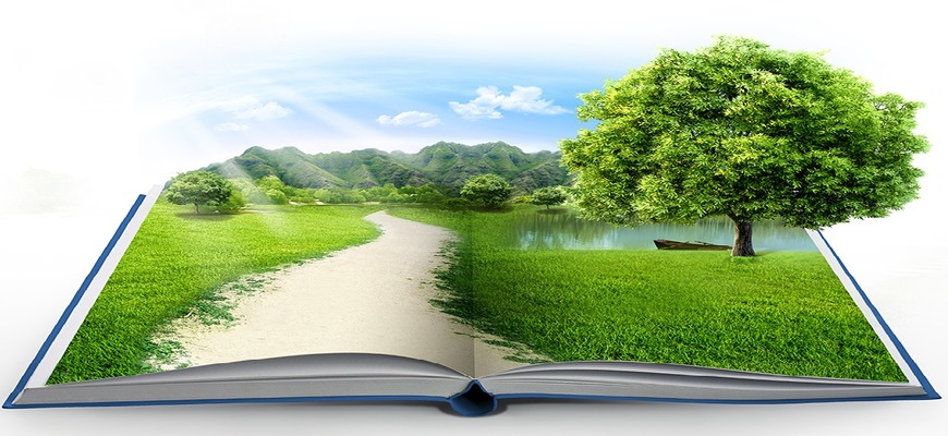 Аргументы: «Природа и культура в жизни человека» из жизни и литературы
